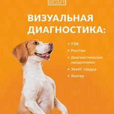 МЕДВЕТ