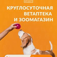 МЕДВЕТ