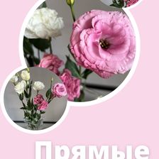 New Расцвет