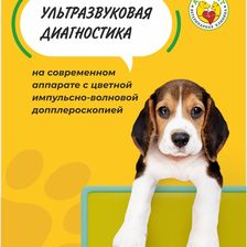Альфа-Вет