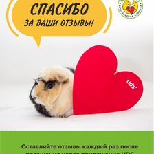 Альфа-Вет