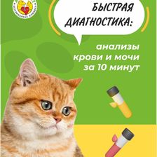 Альфа-Вет