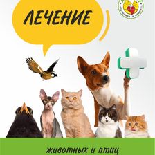 Альфа-Вет