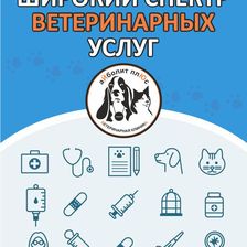 Айболит Плюс