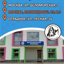 Айболит Плюс
