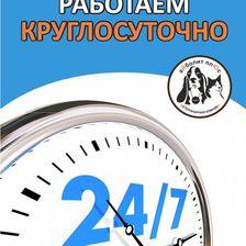 Айболит Плюс