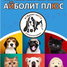 Айболит Плюс