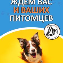 Айболит Плюс