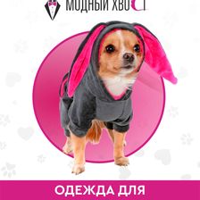 Модный Хвост