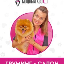 Модный Хвост