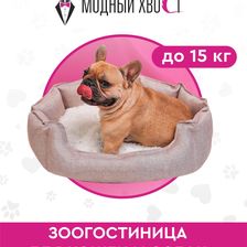 Модный Хвост