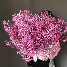 Таптал Сибэкки
