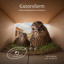 GUTORS.farm