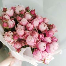 Цветы 24