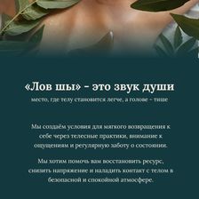 ЛОВ ШЫ