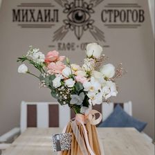 Михаил Строгов