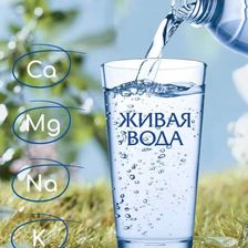 ЖИВАЯ ВОДА