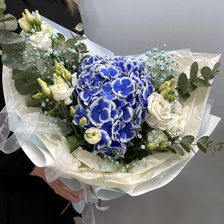Флорилена
