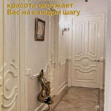 Академия эстетической медицины