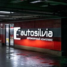 Autosilvia