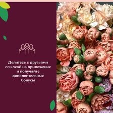Наши цветы