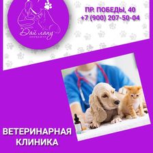 Дай лапу