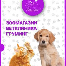 Дай лапу