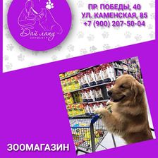 Дай лапу