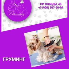 Дай лапу