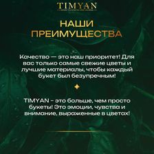 TIMYAN
