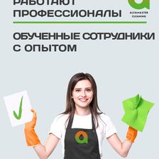 АЛЬФАМАСТЕР КЛИНИНГ