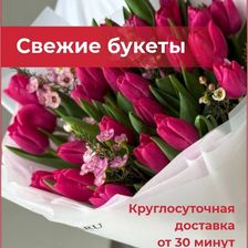 OPTROZ.RU