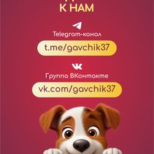 GAVЧИК