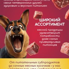 GAVЧИК