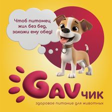 GAVЧИК