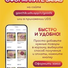 GAVЧИК