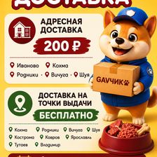GAVЧИК