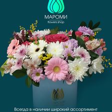 МАРОМИ