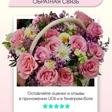 МАРОМИ