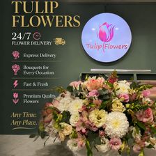 Tulip Flowers