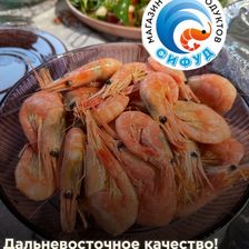 Сифуд