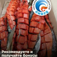 Сифуд