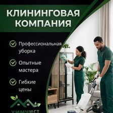 Химчист