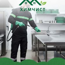 Химчист