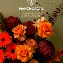 Макси Флора
