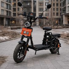 Elbi24