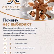 Эдельвейс