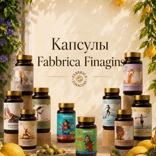 Fabbrica Finagins