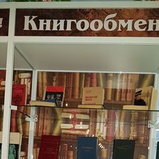 INЖИР