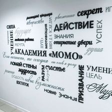Академия МОМО
